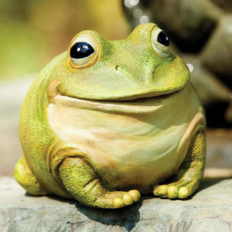 Medium Portly Frog