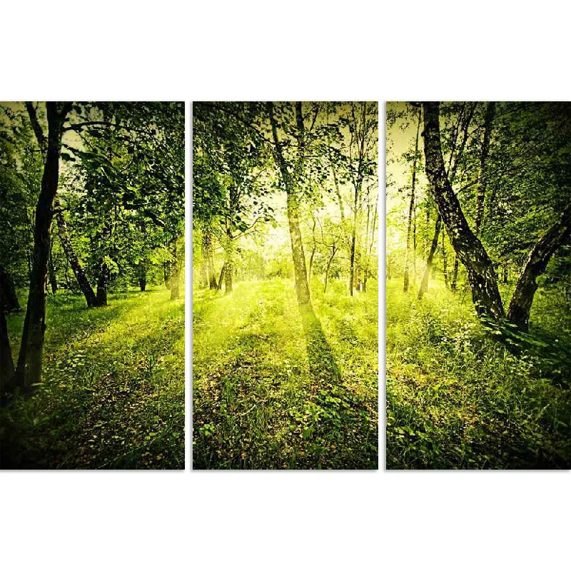 ArtzFolio Fantasy Green Deep Forest On Summer Morning Split Art Painting Panel on Sunboard